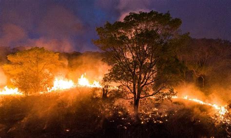 Queimadas No Pantanal J Superam Em Dias Todos Os Setembros M S