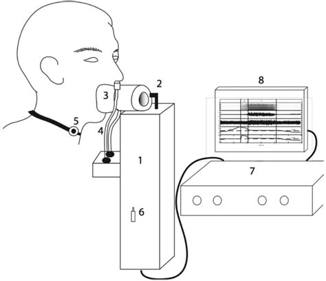 Voiceless Nasal Sounds In Three Tibeto Burman Languages Journal Of