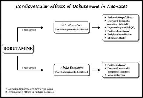 Neonatal Hypotension Dopamine Or Dobutamine Seminars In Fetal And