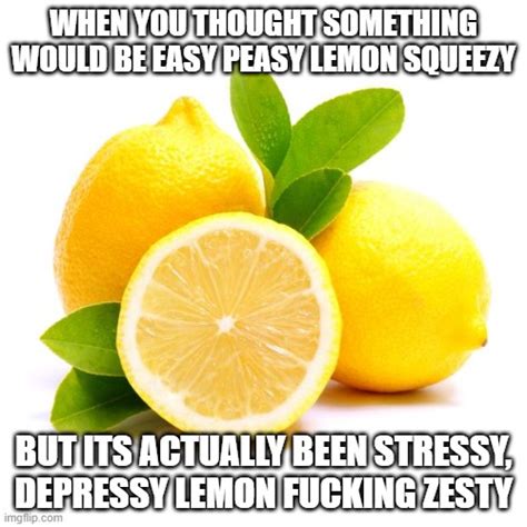 When Lif Gives You Lemons Imgflip