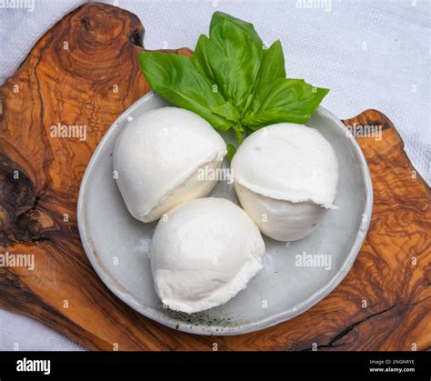 White Ball Of Italian Soft Cheese Mozzarella Di Bufala Campana Served