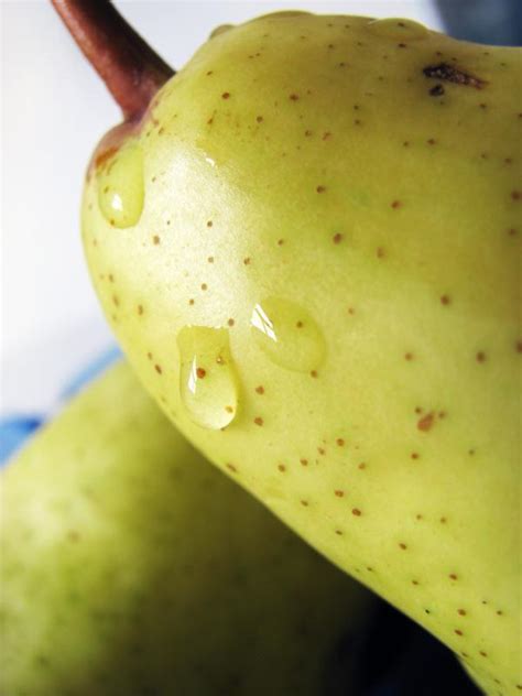 The Ripening Process Of Pears Realenglishfruit