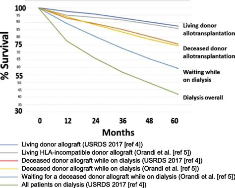 Clinical Pig Kidney Xenotransplantation: How Close Are We? : Journal of ...