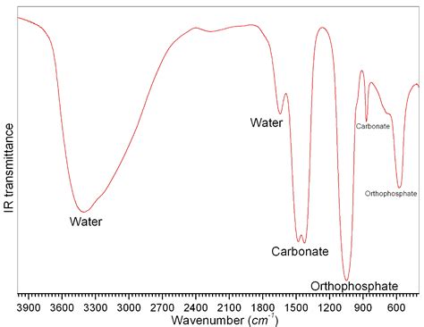 Calcium Phosphate Synthesis In Biomineralization Solutions Containing