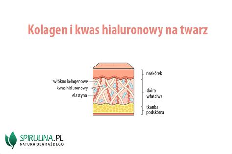 Kolagen I Kwas Hialuronowy Na Twarz Algi Spirulina I Chlorella