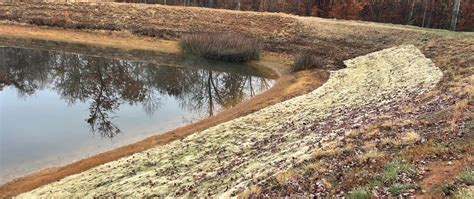 Stormwater Pond Inspection Smith Grounds Management