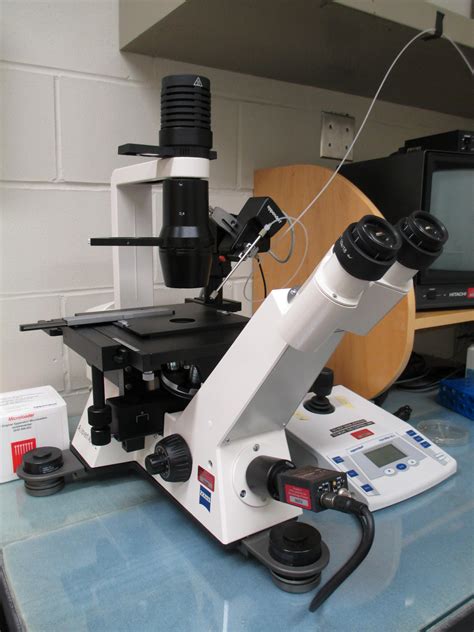 Microinjection Station | Centre for the Neurobiology of Stress