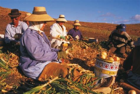 Carmen Quintanilla “las Mujeres Rurales Somos La Fuerza Que Mantiene A Nuestros Pueblos