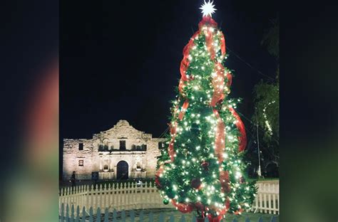 Locals Plan Mini-Christmas Tree Ceremony in San Antonio