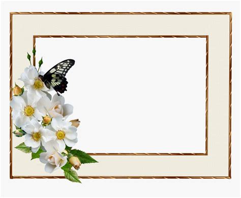 Transparent White Rose Border Png Halvedtapes