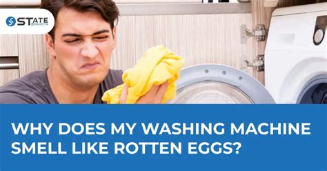 Washing Machine Smells Like Rotten Eggs Easy Fix 2023 State