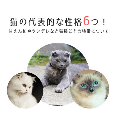 猫の代表的な性格6つ！甘えん坊やツンデレなど猫種ごとの特徴について