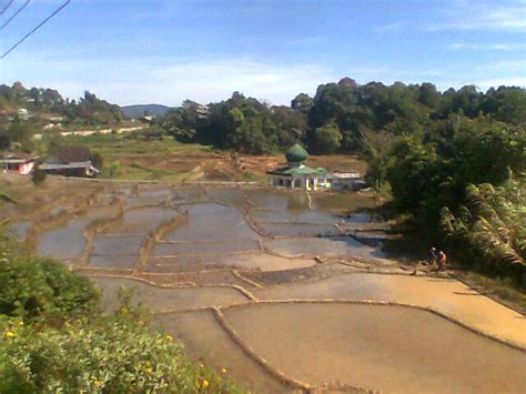 kabupaten padang lawas utara di sebelah barat sungai batang pane ...