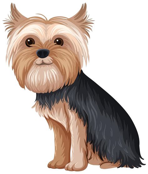 Yorkshire Terrier Perro Vector De Dibujos Animados Vector Premium The