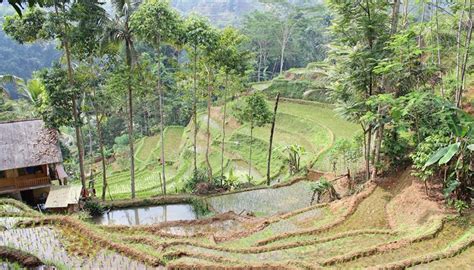 kampung naga simple village guardian  traditions  ancestral