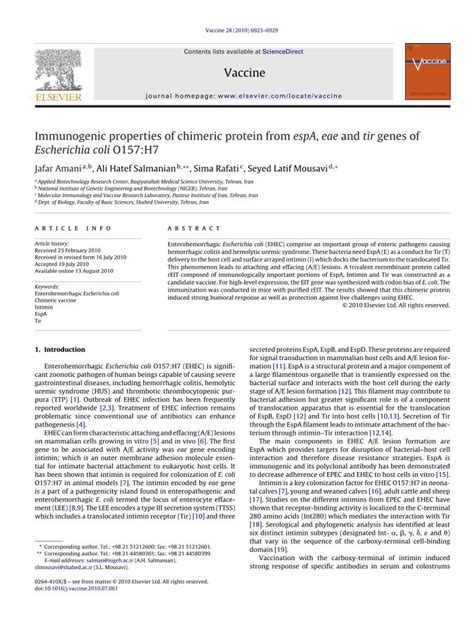 PDF Immunogenic Properties Of Chimeric Protein From EspA Eae And Tir