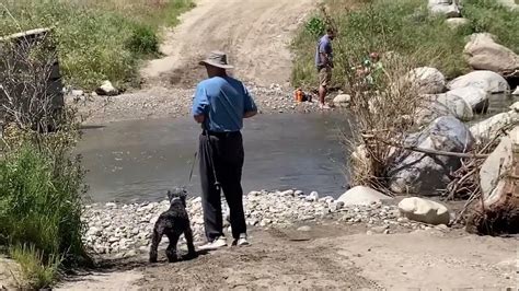 The San Luis Rey River Comes Back To Life Youtube