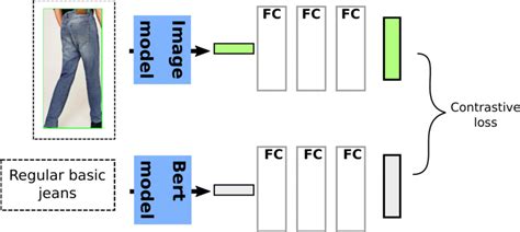 architecture   contrastive model  scientific diagram