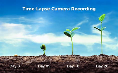 Amazon Dsoon Timelapse Camera K Fhd Time Lapse Camera Outdoor