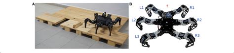 A Photo Of The Hexapod Walking Robot In The Laboratory Test Track