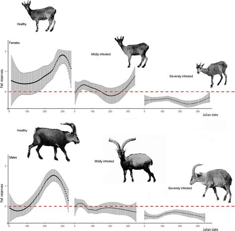 Sex Biased Severity Of Sarcoptic Mange At The Same Biological Cost In A