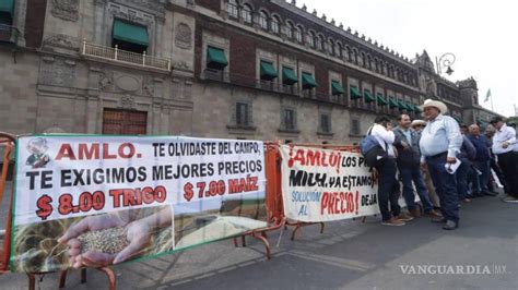 No hay acuerdo en maíz con Gobierno denuncian productores hay menos