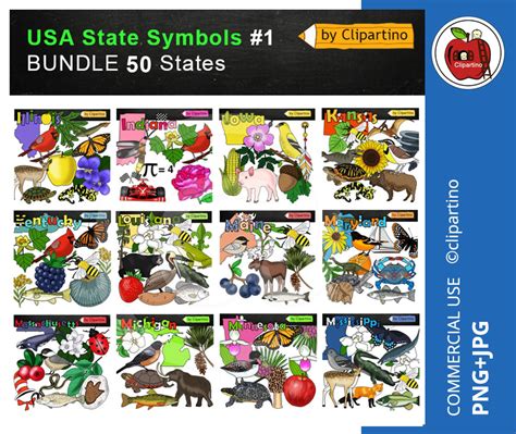 State symbols clip art Bundle-USA All state digital clipart | Etsy