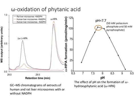 Phytanic acid pathway and Refsum disease