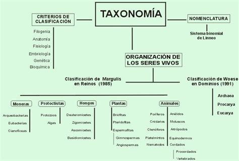 Mapa Mental Taxonomia Artofit