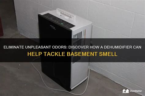 Eliminate Unpleasant Odors Discover How A Dehumidifier Can Help Tackle