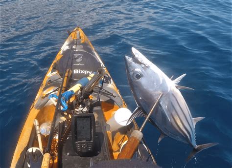 Lifting Aku Into Kayak Hawaii Nearshore Fishing