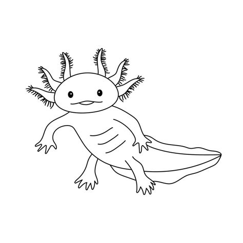 Vector Illustration Of Cute Axolotl Salamander Isolated On White