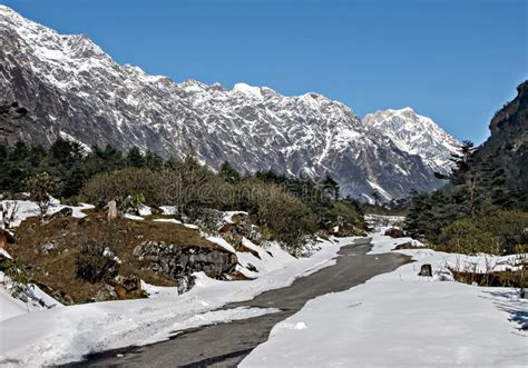 Snow Covered Road To Zero Point In Yumthang Valley Of Gangtok Sikkim