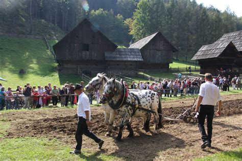 Erlebnistag Graz Umgebung