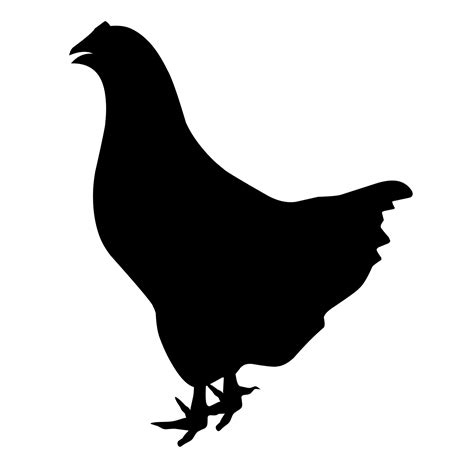 Silhouette Of A Chicken On A White Background Chicken Is Black Great