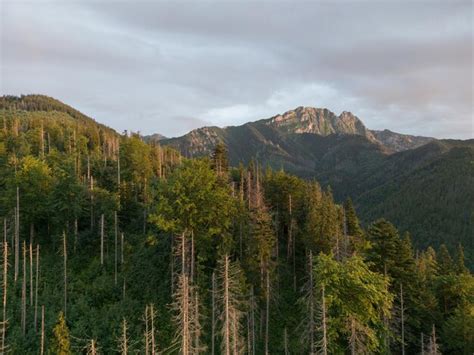 Paysage De Montagne Zakopane Tatras Vue Sur Le Rocher De Gievont