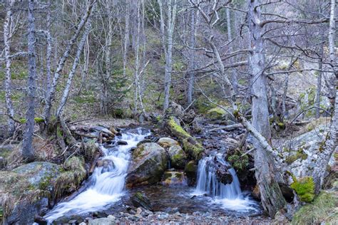 Les plus beaux parcs naturels dEspagne à découvrir en 2025 Chéri