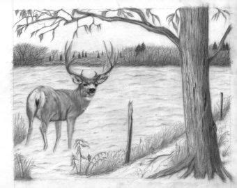 198 best images about DEER SKETCHES on Pinterest | A deer, Pencil ...