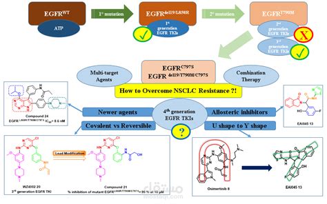 Insights Into Fourth Generation Selective Inhibitors Of C S Egfr