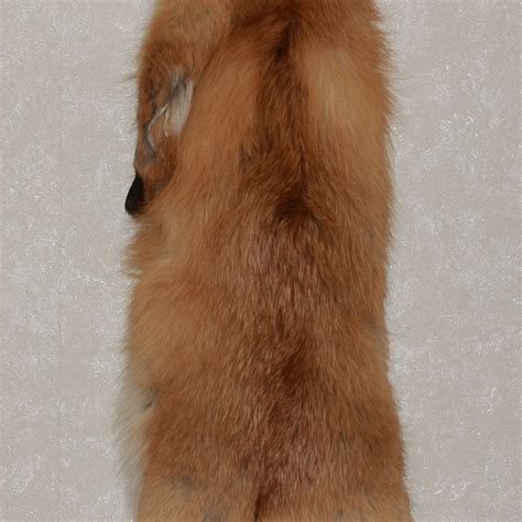 Siberian Red Fox Tanned Fur Pelt Skin Hide For Sale Real Decor