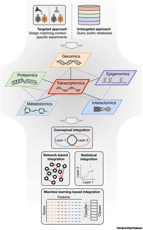 Charting Plant Gene Functions In The Multi Omics And Single Cell Era