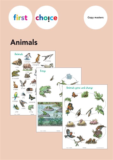 Lmvz First Choice Animals Posters With Copy Masters