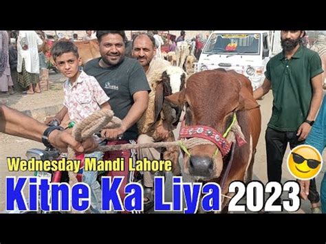 Kitne Ka Liya Wednesday Mandi Lahore Update Qurbani Ka Mall