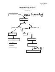 Exploring Humoral Immunity Concept Map Of Immune Response Course Hero