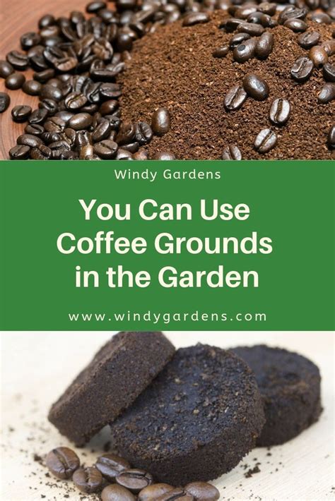 Ways To Use Coffee Grounds In The Garden Coffee Grounds Garden