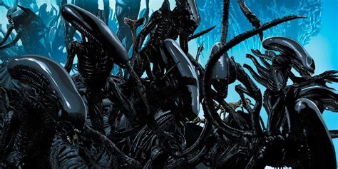 Alien Xenomorph Life Cycle Explained