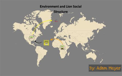 How does environmental factors affect lion social structure? by Adam ...