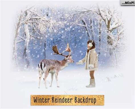 Winter Reindeer Backdrop - FlippedNormals