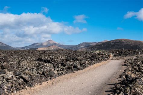 Volcanic Lanzarote Landscape Lanzarote Canary Islands Stock Photo