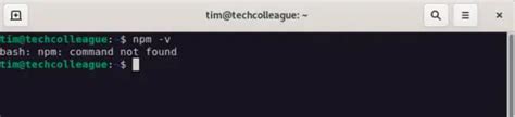 How To Fix Npm Command Not Found Techcolleague
